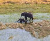 Botswana & Namibia: Delta & Dunes