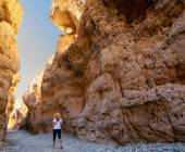 Botswana & Namibia: Delta & Dunes