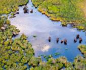 Botswana & Namibia: Delta & Dunes