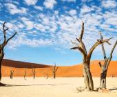 Botswana & Namibia: Delta & Dunes