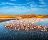 Botswana & Namibia: Delta & Dunes