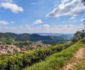 Walk The Prosecco Hills & Hidden Venice