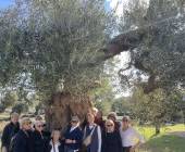 Discover Puglia: Italy’s Ancient Heel