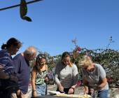 Discover Puglia: Italy’s Ancient Heel