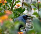 Galapagos Walking Adventure