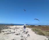 Galapagos Walking Adventure