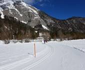 Cross-Country Skiing at Leutasch and Seefeld