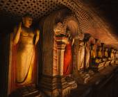 Sri Lankan Highlights