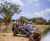 Sri Lankan Highlights