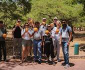 Sri Lankan Highlights