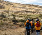 Essential Patagonia: Fjords & Torres del Paine