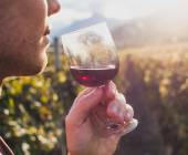 Red wine tasting in Italy