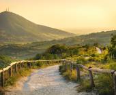 Walking in the Venetian Hills