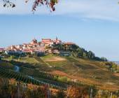 La Morra village,Piedmont, Italy