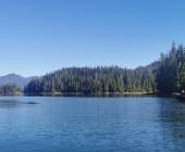 Whales & Bears of British Columbia