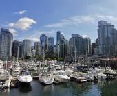 Whales & Bears of British Columbia