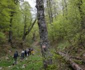 Italian Apennines: Walks & Wildlife