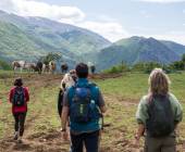 Italian Apennines: Walks & Wildlife