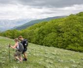 Italian Apennines: Walks & Wildlife