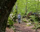 Italian Apennines: Walks & Wildlife