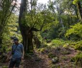 Italian Apennines: Walks & Wildlife