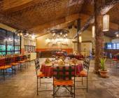 Chitwan Safari Add-on Tour