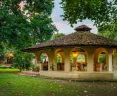 Chitwan Safari Add-on Tour