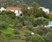 White Villages of Andalucia Walk