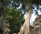 Cycle Southeast Asia – Premium Adventure