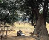 Wildlife & Wilderness of Botswana