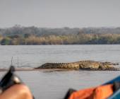 Zambezi Canoe Safari