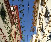 Marvels of Madeira Walk