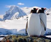 Antarctic Express: Fly the Drake