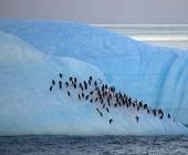 Crossing the Circle: Southern Expedition