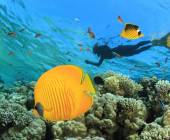 Kingdoms of Jordan – Premium Adventure