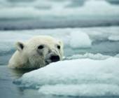 Northwest Passage: Epic High Arctic