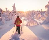 Cross-Country Skiing in Lapland