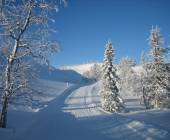 Cross-Country Skiing in Lapland