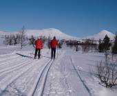 Cross-Country Skiing in Venabu