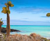 Island Hopping in the Galapagos