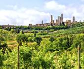 Tuscany Walks & Chianti Wines