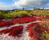 Island Hopping in the Galapagos