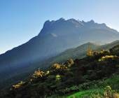 Borneo Wildlife Discoverer