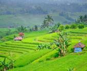 Cycling Indonesia’s Islands
