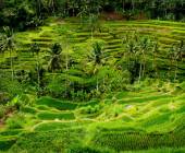 Cycling Indonesia’s Islands