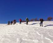 Transylvania Winter Walk & Snowshoe