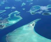 Marine Wildlife of the Maldives