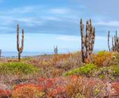 Island Hopping in the Galapagos