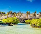 Galapagos Islands