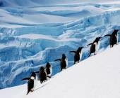 Antarctic Explorer